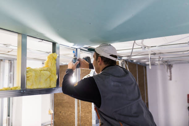 Best Insulation for Specific Applications in Carolina Forest, SC