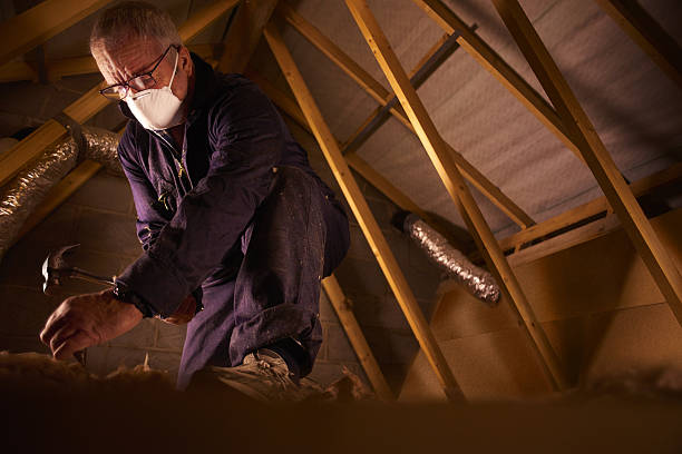 Best Residential Insulation in Carolina Forest, SC