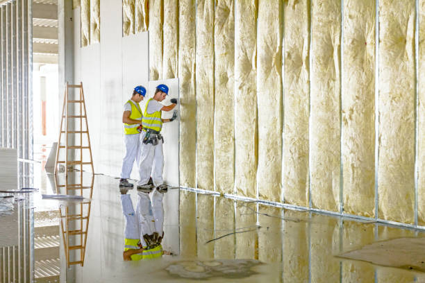 Professional Insulation Contractor in SC